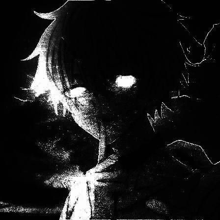 Photo de profil de d4cb