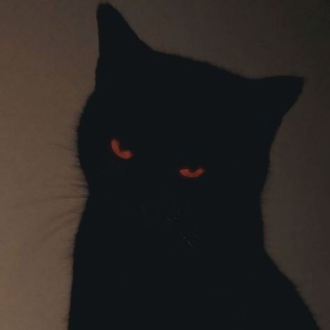 Photo de profil de wx
