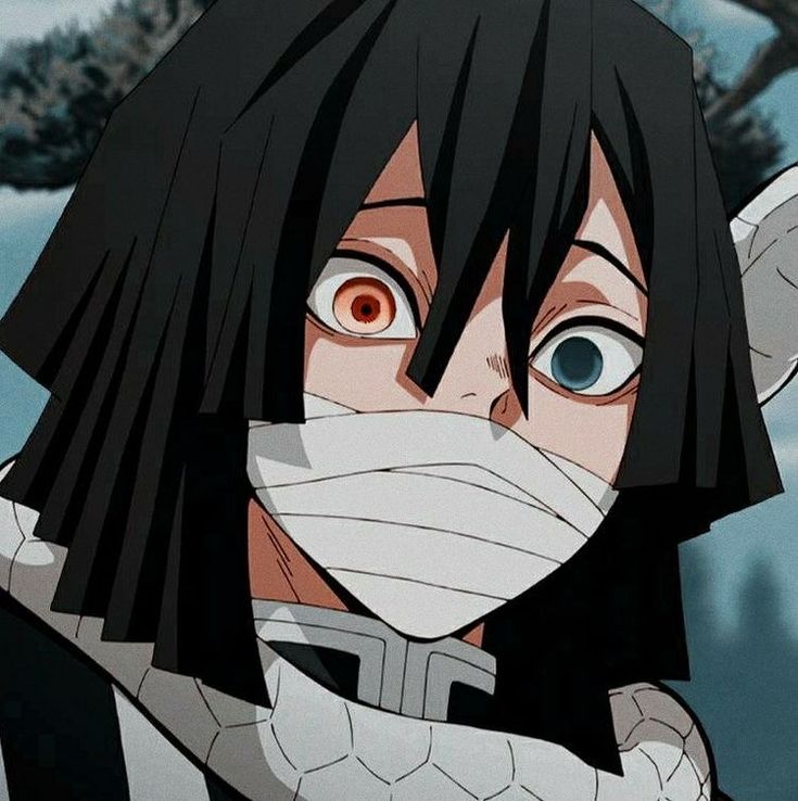 Photo de profil de 0xNasu