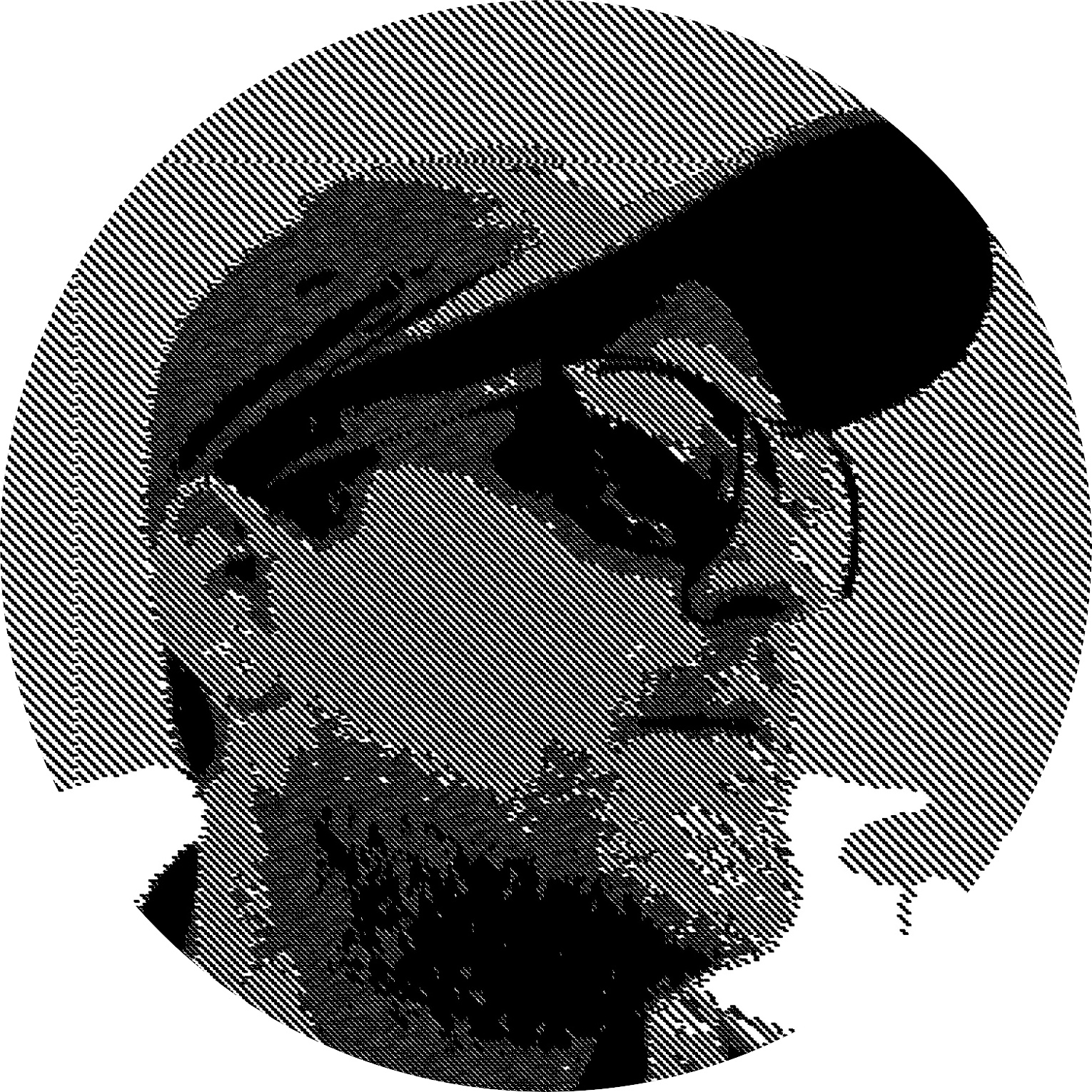 Photo de profil de january1073